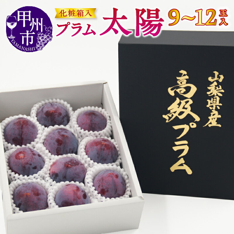 【ふるさと納税】 プラム 太陽 果物 9～12玉 2025年発送 期間限定 宿沢フルーツ農園 フルーツ 甲州市産 すもも 高級 化粧箱入 ギフト 贈り物 山梨県 甲州市 (SF) 【B-194】