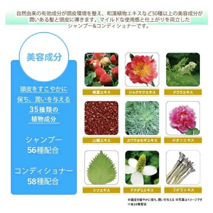 【全12回定期便】［2本セット】［薬用］利尻頭皮シャンプー ［医薬部外品］＋［薬用］利尻頭皮コンディショナー ［医薬部外品］ 糸島市 / 株式会社ピュール ヘアケア シャンプー [AZA105]