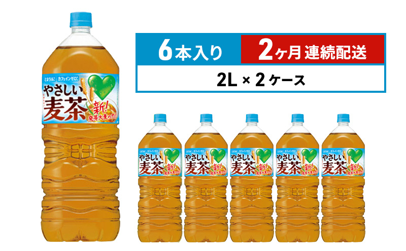 
定期便 2ヵ月 麦茶 GREEN DA・KA・RA やさしい麦茶 2L×6本 2箱 ペットボトル
