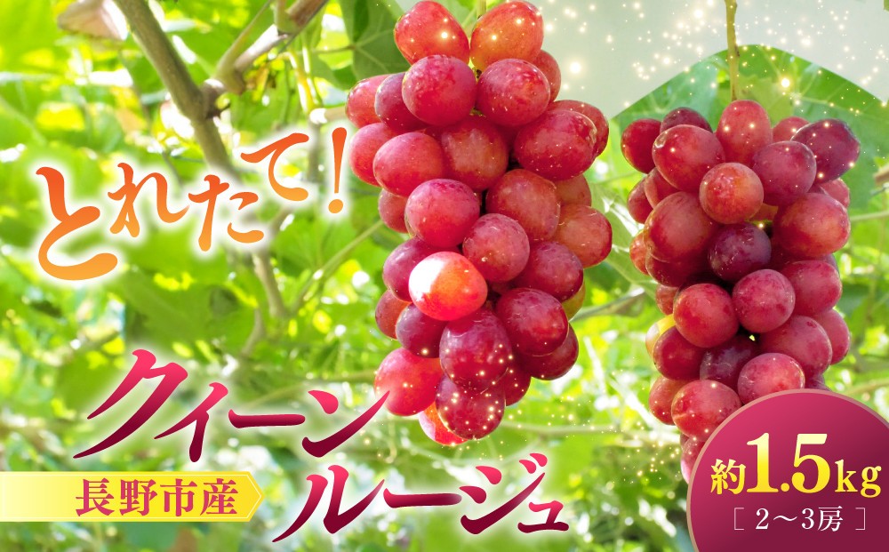 
                  クイーンルージュ1.5kg　2-3房
                
