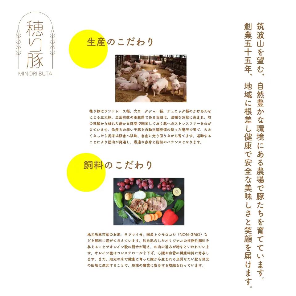 坂東市産の豚肉バラエティセット　約3kg No.841