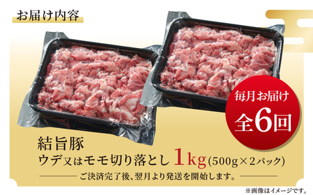 《定期便》全6回 結旨豚 ウデ又はモモ 切り落とし 500g×2パック 冷凍真空パック | 肉 お肉 豚肉 国産 食べ比べ セット 白川郷 岐阜県 白川村 ブランド豚 人気 おすすめ ギフト 飛騨高山