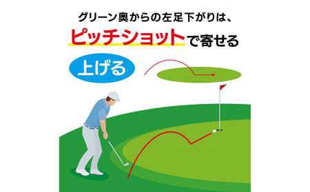 ゴルフクラブ ドルフィンウェッジ DW-225 レディース カーボンシャフト  ロフト角55° キャスコ kasco