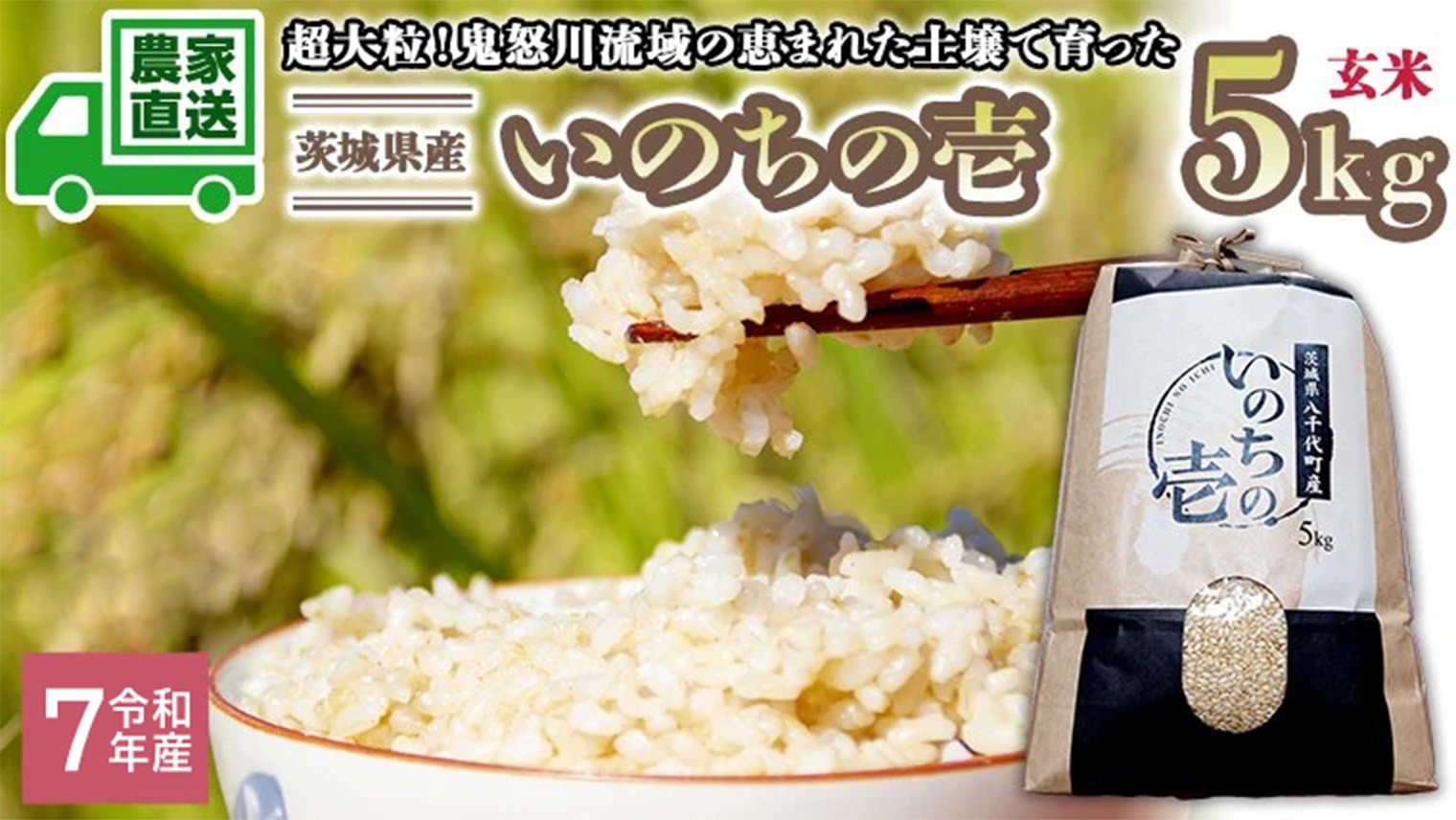 
            令和7年産 茨城県産 いのちの壱 5kg 玄米 米 こめ コメ 茨城県 国産 いばらき 単一米 単一原料米 大粒 農家直送 [BG013ya]
          