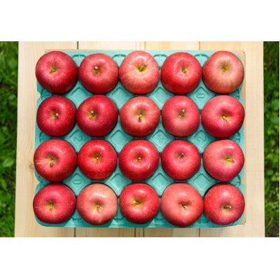 【2025年10月発送予定】平均糖度12度以上! 早生ふじ 約5kg おもてなし用【配送不可地域：離島・沖縄県】【1607478】