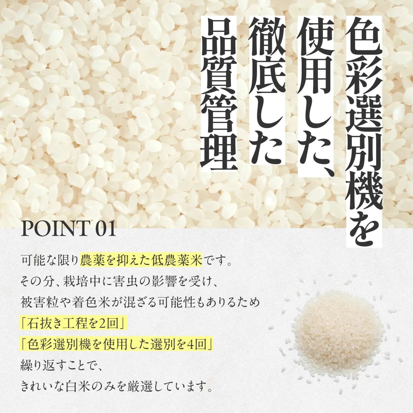 【コシヒカリ】令和7年産 白米20kg【5営業日以内に発送】