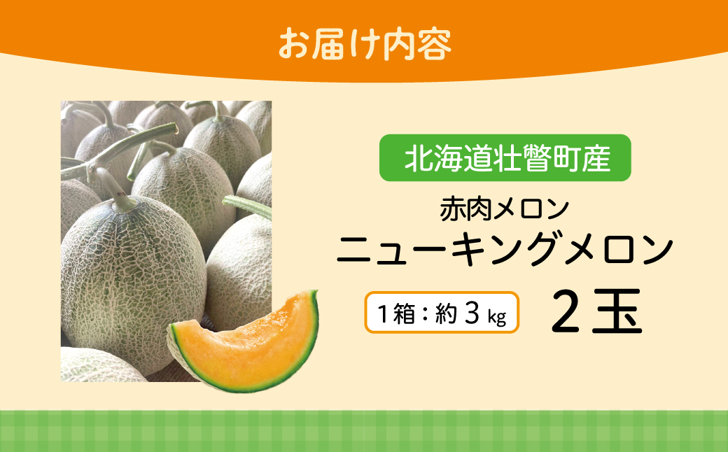 【先行予約】【定期便2回】赤肉メロン2玉＋スイートコーン約5kg(13本) 旬のフルーツ・野菜定期便<7月下旬・8月上旬お届け> SBTN012