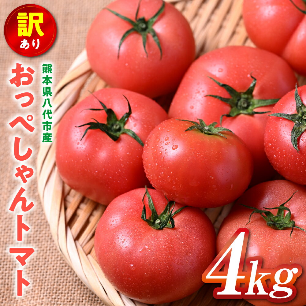【ふるさと納税】【先行予約】 訳あり おっぺしゃんトマト 4kg トマト とまと 野菜 やさい 旬の野菜 地元産野菜 特産品 お取り寄せ 家庭用 食卓 送料無料【2025年11月上旬より順次発送】