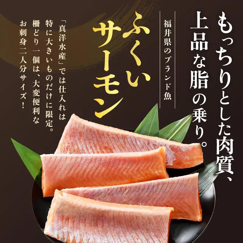 《定期便6回》ふくいサーモン 柵どり 150g×4パック 計600g ＜鮮度抜群！＞ ／サーモン 鮭 [aw002-k001]
