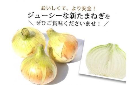 【あさひサンファーム】【5㎏】兵庫県認証★特別栽培★淡路島新たまねぎ（配送3月上旬～）