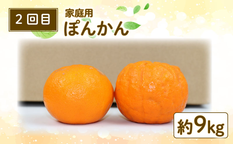 柑橘定期便 全 3回 みかん定期便 家庭用 早生 温州みかん ぽんかん 河内晩柑 玉津柑橘倶楽部 先行予約 サイズ 不揃い ポンカン 果実 果物 くだもの フルーツ 柑橘 愛媛蜜柑 愛媛みかん mik