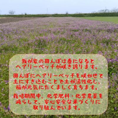 ふるさと納税 益城町 熊本県益城町産 単一原料米 令和7年産「ヒノヒカリ」10kg(5kg×2袋) |  | 01