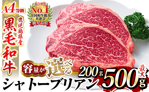 
                  ＜選べる容量＞A4等級 以上 鹿児島産黒毛和牛・シャトーブリアン(計200g～最大500g)【財宝】国産 牛肉 希少部位 フィレ ステーキ a269 a326 a271 a1076
                