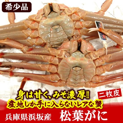 限定品 希少な松葉がに ボイル 2枚 産地しか手に入らない脱皮直前のレアな「二枚皮松葉がに」ソフト蟹【配送不可地域：離島】【1592250】