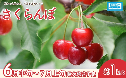 No.2549【2026年発送】フルーツ4種定期便