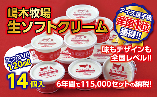 北海道 全国アイス選手権1位！牧場の生ソフトクリーム14個（たっぷり120ml）ふるさと納税だけで8年間で15万セット！ 詰合せ　