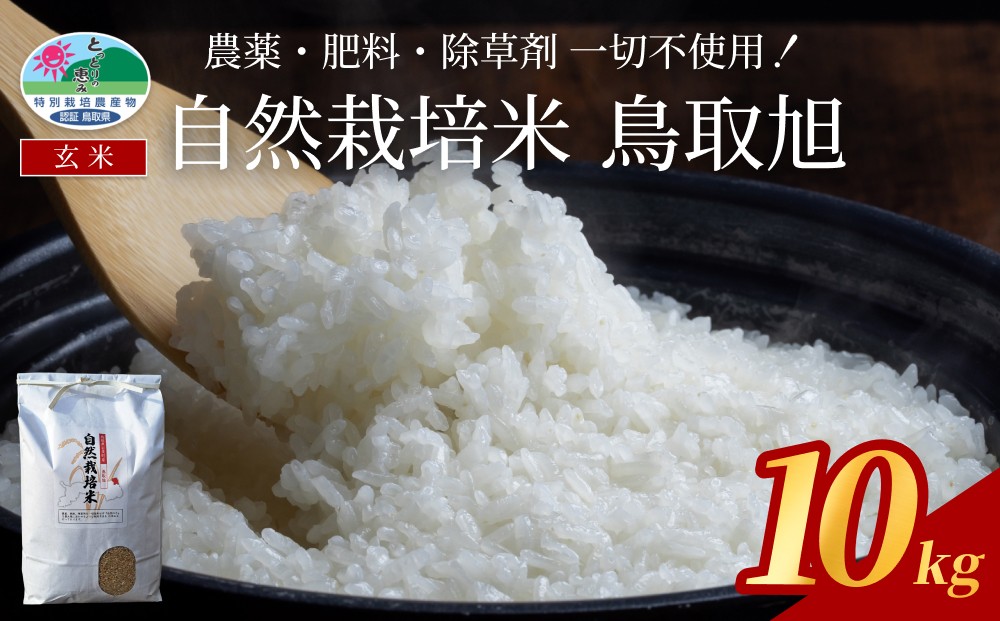 
                  【先行予約】自然栽培米 鳥取旭（玄米）5kg×2袋 令和８年産｜鳥取 岩美 岩美町産 お米 こめ 玄米 無農薬 無肥料【31025】
                