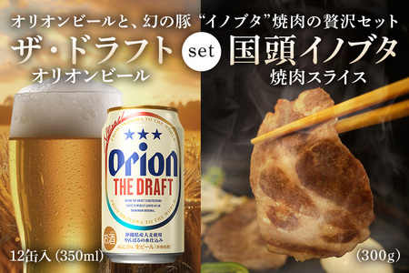 【ビール特産品セット】オリオン ザ・ドラフト12本＆旨み凝縮！国頭イノブタ