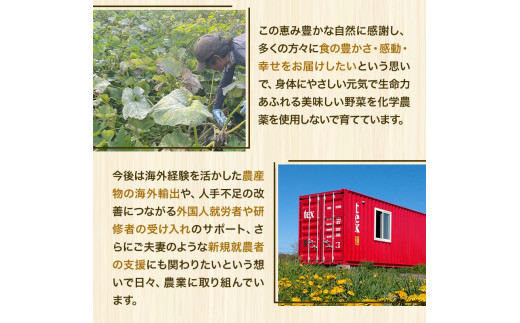 【0-8-220】北海道当別町産化学農薬不使用ミニトマト：甘っこ1.5kg