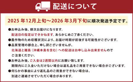 あまおう＆ふくや味の明太子100g あまおう いちご 苺 イチゴ 果物 くだもの フルーツ 明太子 めんたいこ セット 【2025年12月上旬～2026年3月下旬発送予定】