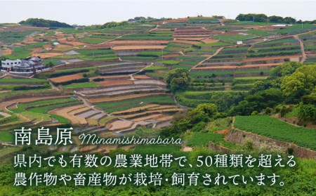 【12回定期便】きのこ定期便 厳選セット 4品目「12回（毎月）」お届け 特選キノコ 詰め合わせ きのこ きのこセット / 南島原市 / 吉岡青果 [SCZ015] / きのこ定期便・きのこ レシピ・