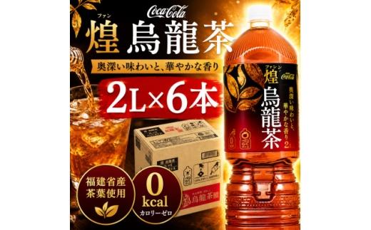 日本コカ・コーラ 煌(ファン) 烏龍茶 2L×6本 ペットボトル ケース【1770343】