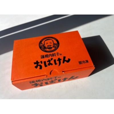 ふるさと納税 鹿嶋市 【毎月定期便】蓮根肉餃子のおばけん[20粒]全12回 |  | 01