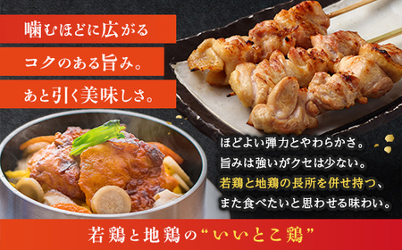 伊達鶏カレーパン 15個入り 福島県 伊達市産 F20C-944