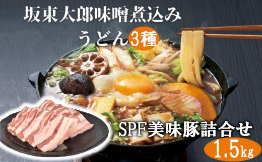 
味噌 煮込み うどん と SPF 美味豚 詰合せ セット 坂東太郎 人気商品 生うどん 味噌味 白まるごま 激辛 3種 食べ比べ 常陽牧場 SPF 豚 豚肉 バラ 肩ロース ロース
