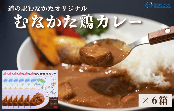 HA1827_むなかた鶏カレー 6個セット【道の駅むなかた】