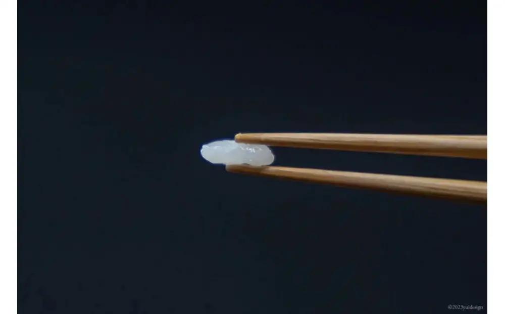 箸 食べ心地の良い竹箸 24cm 二膳セット