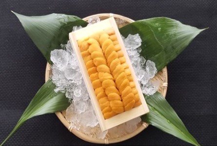 ムラサキウニ140g×1折[7月上旬以降発送] A-40001