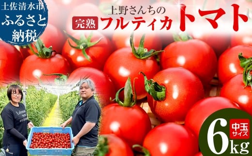 完熟フルティカトマト6kg（中玉サイズ）2kg×3箱 天然地下水使用  甘熟ミディトマト フルーツトマト とまと 6000g 6キロ 野菜 サラダ 料理 美味しい 甘い ギフト 国産 高知県 土佐清水市【R00631】