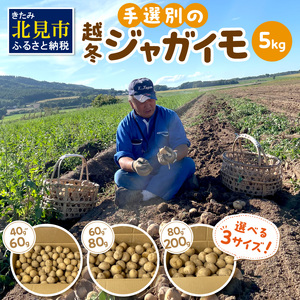 【予約：2024年2月から順次発送】【選べる3サイズ】宇野さんの手拾い、手選別の越冬ジャガイモ 5kg ( 芋 野菜 選べる )【167-0003】