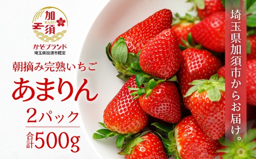 
            「埼玉農業大賞特別賞」を受賞！ 完熟朝摘み あまりん　250g×2　(8粒～15粒)　【苺】 イチゴ おおきい スイーツ あかい 果物 ふるさと納税 いちご うまい フルーツ 期間限定 人気いちご 甘い いちご 旬 直送 おすすめいちご ストロベリー 苺ジャム いちご 好きのための いちご
          