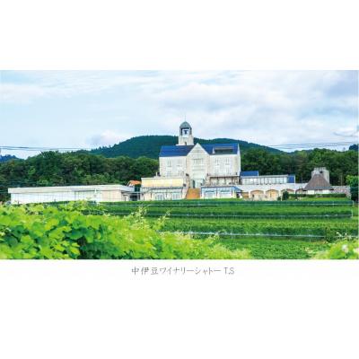 ふるさと納税 伊豆市 【中伊豆ワイナリー】伊豆ワイン紅白セット ワイン レッド ホワイト(各750ml) |  | 02
