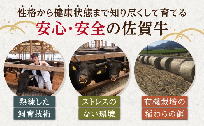 佐賀牛 サーロイン ブロック 1kg【山下牛舎】 [HAD061] A5 牛肉 肉 精肉 サーロイン ロース ブロック 塊肉 