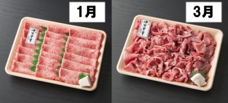 伊万里牛食べつくし 定期便 6回便 モモスライス入り ヒレステーキ 30万円コース J253