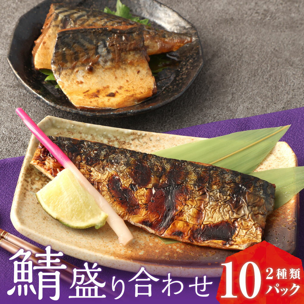 【ふるさと納税】鯖 盛り合わせ 鯖のぬかだき 塩焼き 2種 各5パック 合計10パック 合計約1.2kg サバ 鯖 さば 魚 ぬかだき 郷土料理 湯煎 レンジ レトルト 福岡県 苅田町 送料無料