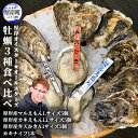 【ふるさと納税】北海道 牡蠣 3種 食べ比べ 厚岸オイスターハーフ ★オールスターズ 生食　【 生牡蠣 カキフライ マルえもん カキえもん 弁天かき 】　お届け：2024年11月～12月10日頃、2025年1月～6月末頃