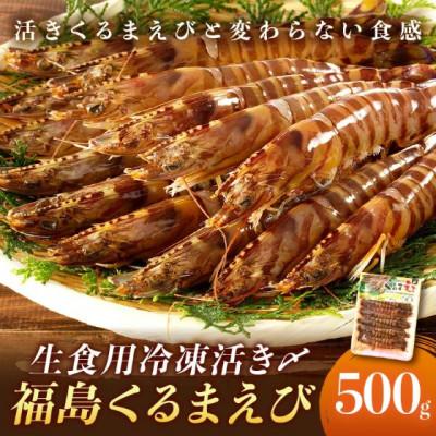 ふるさと納税 松浦市 【2025年6月中旬発送】生食用  瞬間冷凍活き〆福島くるまえび500g | 