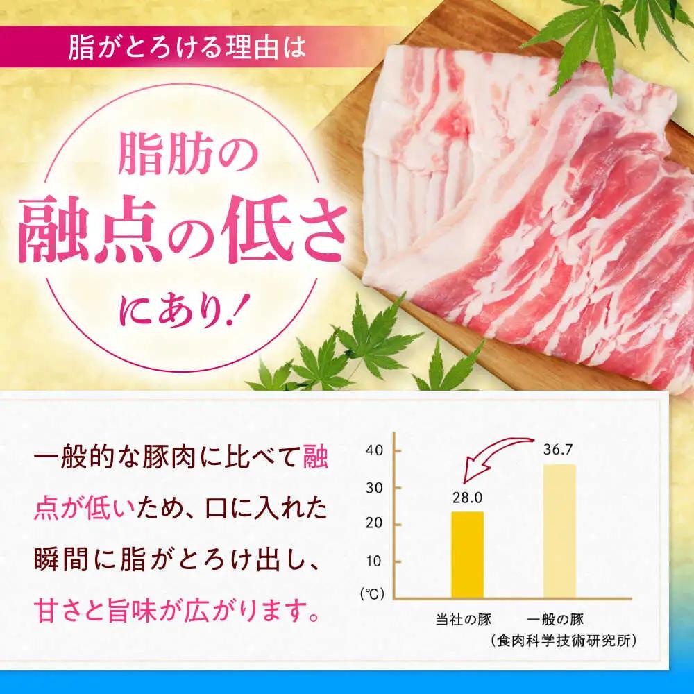 豚肉切り落とし 500g×5パック 豚肉切り落とし BCAJ013