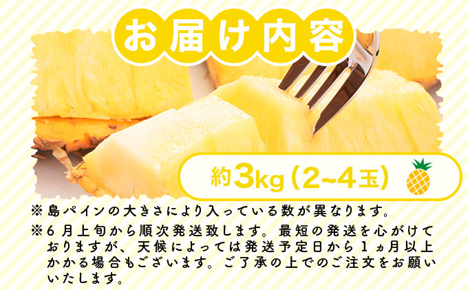 2025年 先行予約 島パイン (ハワイ種) 約3kg 2～4玉 パイナップルの王道 西表島産 パイン 果物 フルーツ