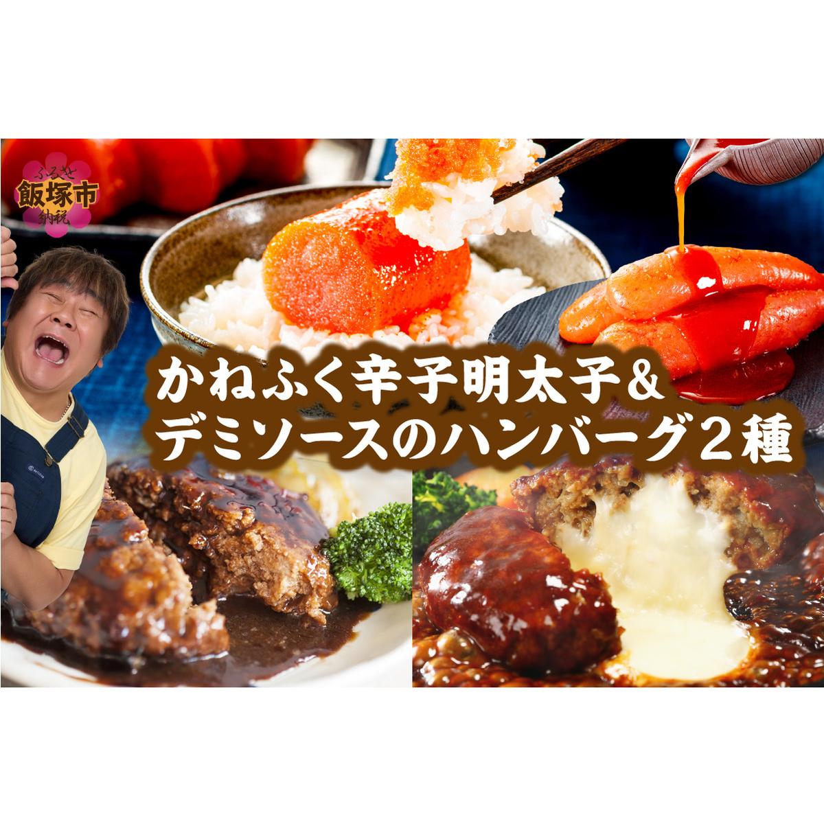 かねふく辛子明太子&デミソースのハンバーグ2種セット【A5-301】