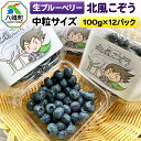 【ふるさと納税】【2025年収穫先行受付】生ブルーベリー(中粒)「北風こぞう」 100g×12パック