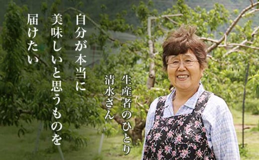 なつっこ (白桃） 約3kg 7～12玉 ［小布施屋］ 桃 白桃 もも モモ フルーツ 果物 令和8年産 【2026年8月上旬～中旬発送】