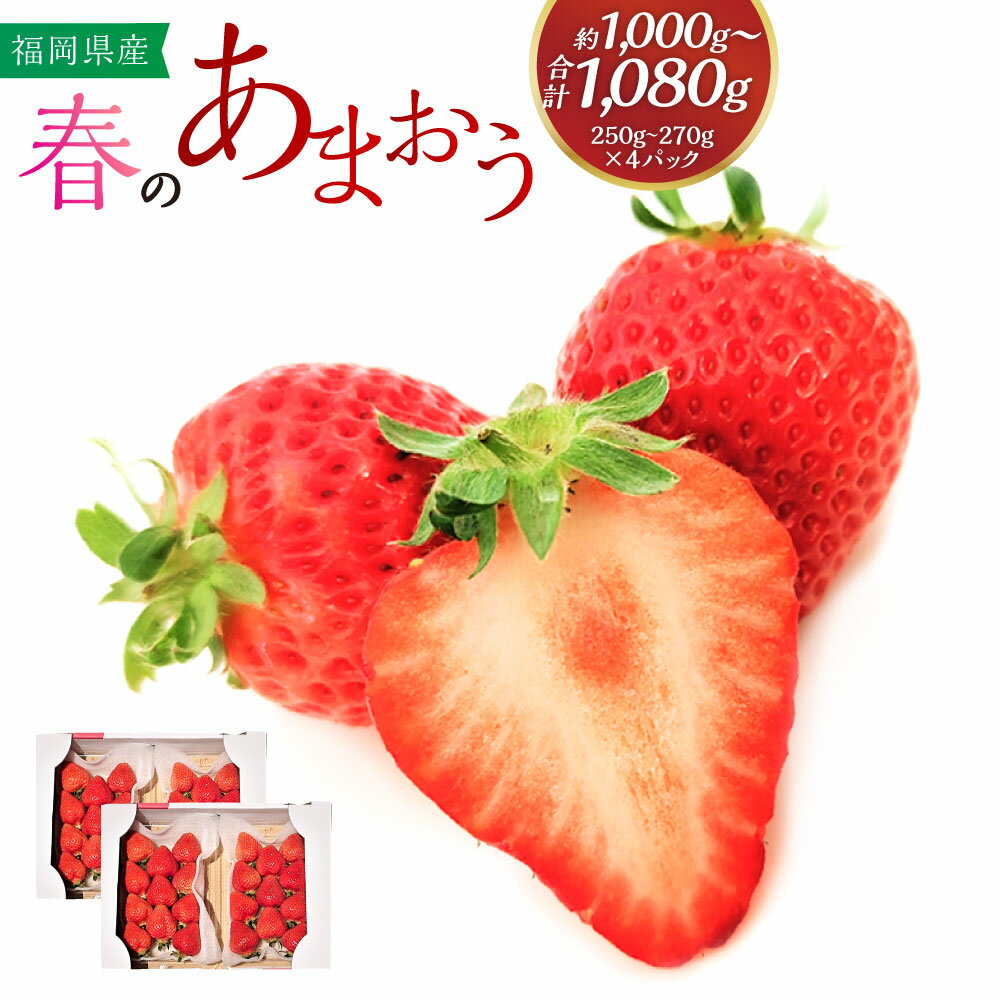 【ふるさと納税】春のあまおう 2L・2A・G規格以上 約250～270g×4パック 計約1000～1080g いちご 苺 イチゴ フルーツ 果物 お取り寄せ デザート おやつ 福岡県産 冷蔵 送料無料【2026年3月上旬～4月下旬発送予定】