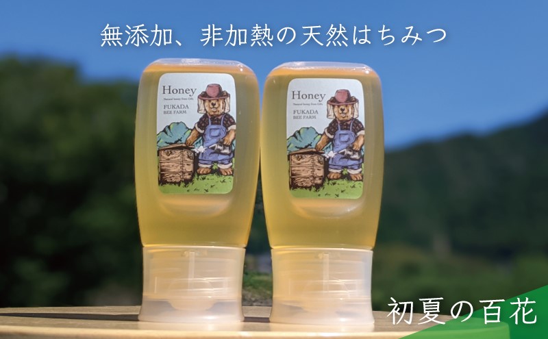 【先行予約 2025年6月20日より発送】合計600g 天然蜂蜜 国産蜂蜜 非加熱 生はちみつ 岐阜県 美濃市産 初夏 (蜂蜜300g入りピタッとボトル2本セット)B10 深田養蜂のハチミツ