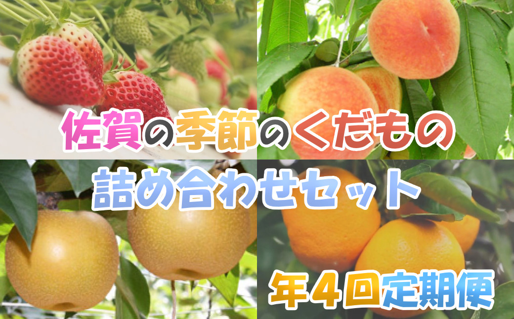 
            【定期便セット】佐賀の季節のくだもの詰め合わせセット全４回（いちご、柑橘、キウイフルーツ、桃、枇杷、シャインマスカット、ぶどう、梨、柿）
          