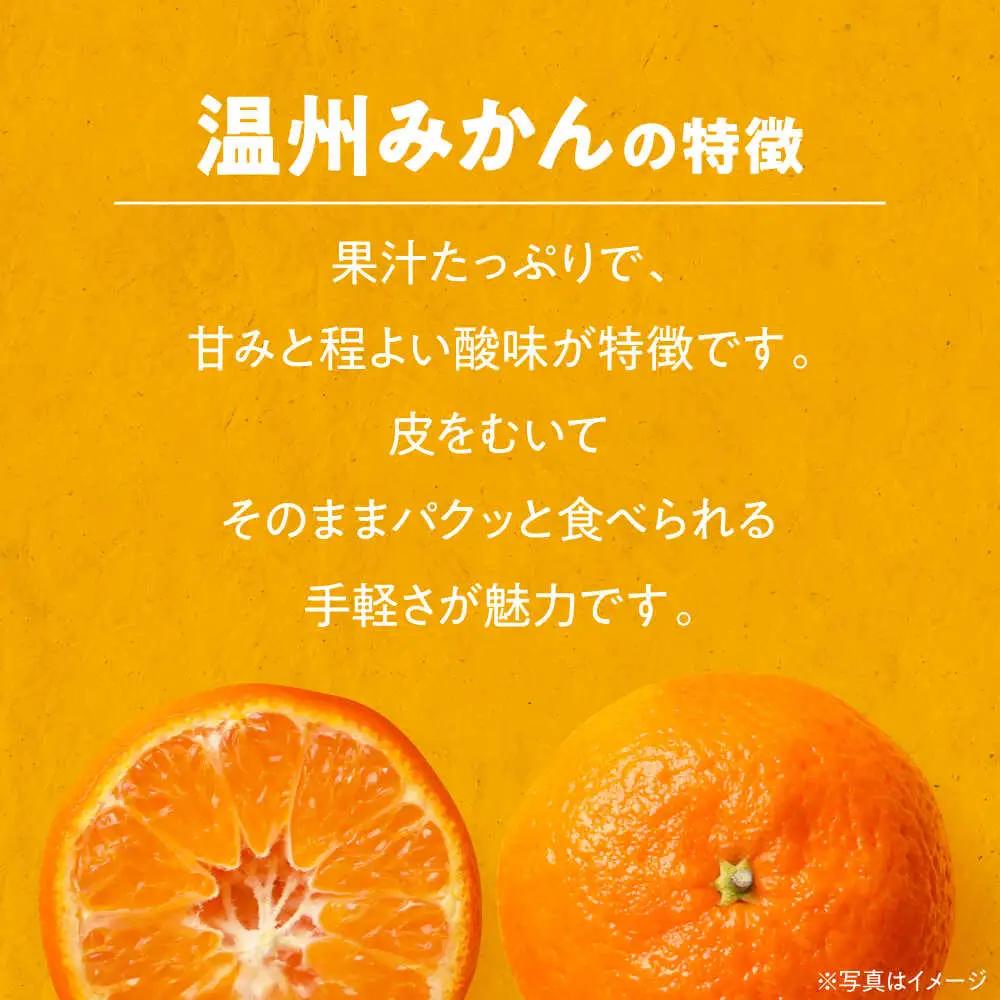 みかん【贈答用】みかんジュース3本セット みかん[AGAW012]